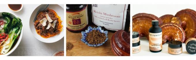 Fabrieksvoorziening Reishi paddenstoel poeder Ganoderma lucidum extract 30% 50% Ganoderma lucidum polysaccharide poeder 2