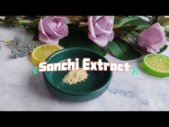 Sanchi Panax Notoginseng wortel extract