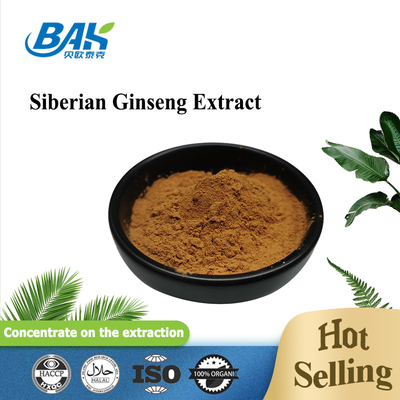 0,8% Eleutheroside Slaapverbeterend supplement Siberisch Ginseng-extract