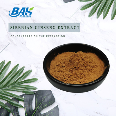 0,8% Eleutheroside Slaapverbeterend supplement Siberisch Ginseng-extract