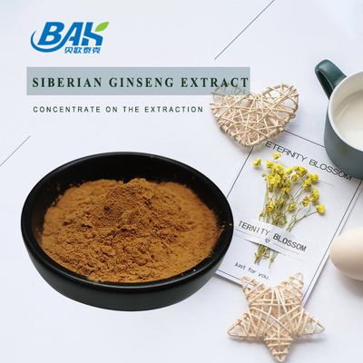0,8% Eleutheroside Slaapverbeterend supplement Siberisch Ginseng-extract