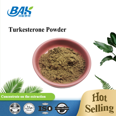 BAK Bodybuilding Ajuga Turkestanica-extract 2% Turkesteronpoeder