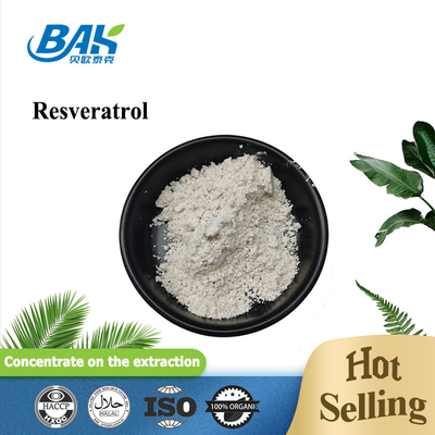 Polygonum Cuspidatum-extract Resveratrolpoeder voor immuunverbetering