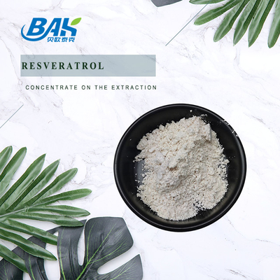Polygonum Cuspidatum-extract Resveratrolpoeder voor immuunverbetering