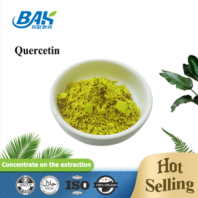 HPLC Sophora Japonica Extract 98% Quercetine poeder
