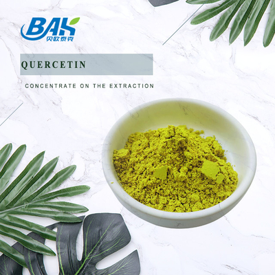 HPLC Sophora Japonica Extract 98% Quercetine poeder