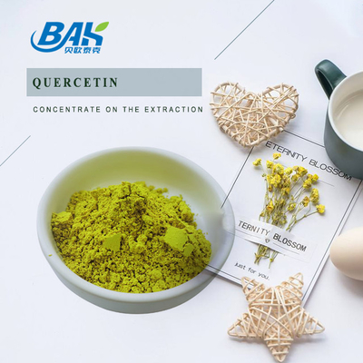 HPLC Sophora Japonica Extract 98% Quercetine poeder