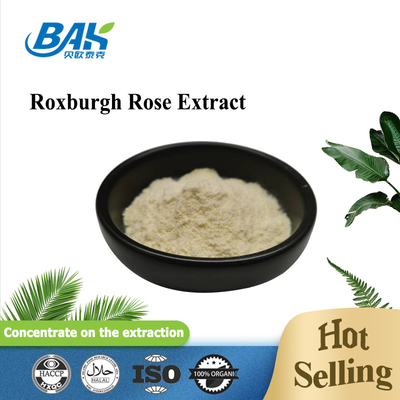 De Beschermingssupplement Roxburgh Rose Extract van de natuurlijke voedinglever