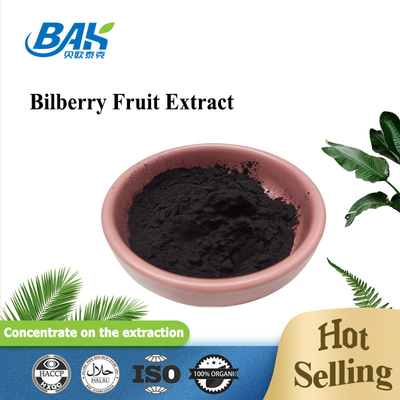 Hoge zuiverheidsgraden Beberry Anthocyanin Extract Supplement Anti Aging Vaccinium Myrtillus Poeder