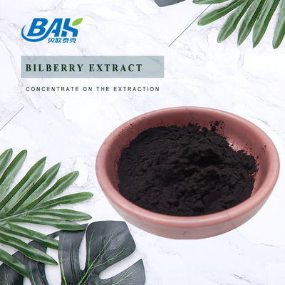 Hoge zuiverheidsgraden Beberry Anthocyanin Extract Supplement Anti Aging Vaccinium Myrtillus Poeder