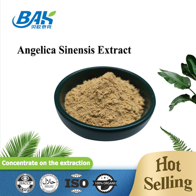 Chinese professionele fabriek Dang Gui Angelica Sinensis Dong Quai wortel extract poeder Angelica Dahurica extract