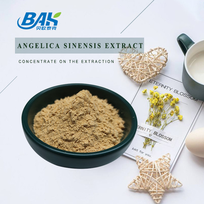 Chinese professionele fabriek Dang Gui Angelica Sinensis Dong Quai wortel extract poeder Angelica Dahurica extract