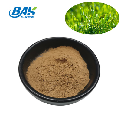 Polyfenol 10% - 98% groene thee extract poeder Cas 84650-60-2