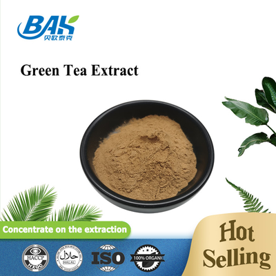 Polyfenol 10% - 98% groene thee extract poeder Cas 84650-60-2