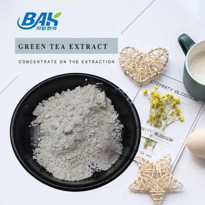 Bulk Stock Groene thee extract EGCG CAS NO 989-51-5 Epigallocatechin gallaat 98% Wit poeder