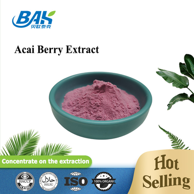 Anti-oxidant Anthocyanine Extract Supplement Acai Berry Extract Poeder 5% - 25%