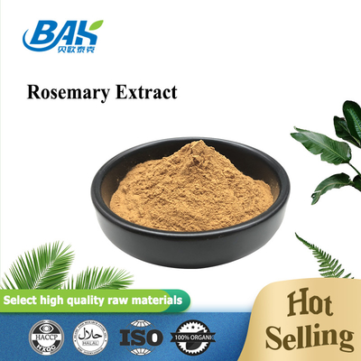 98% Leverbeschermingssupplement Rozemarijn Extract Poeder