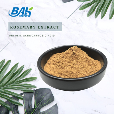 98% Leverbeschermingssupplement Rozemarijn Extract Poeder