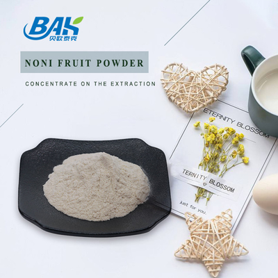 Verbeter Immuniteitsfruit en Plantaardig Poeder Noni Fruit Powder 80 Netwerk