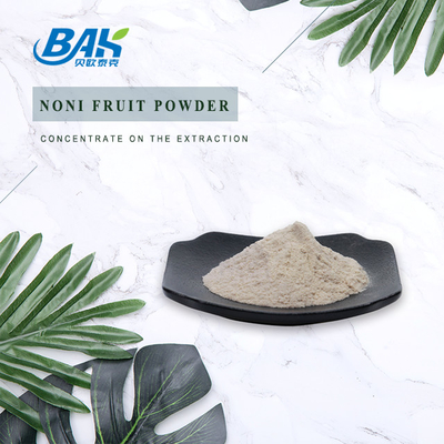 Verbeter Immuniteitsfruit en Plantaardig Poeder Noni Fruit Powder 80 Netwerk