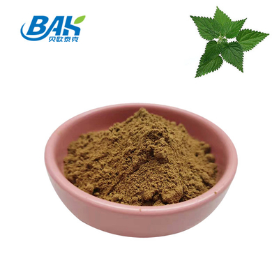 hoogwaardig extract van brandnetelbladeren 1,2% silica Biologisch extract van brandnetelwortel van voedingswaarde Poeder
