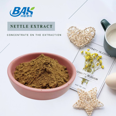 hoogwaardig extract van brandnetelbladeren 1,2% silica Biologisch extract van brandnetelwortel van voedingswaarde Poeder