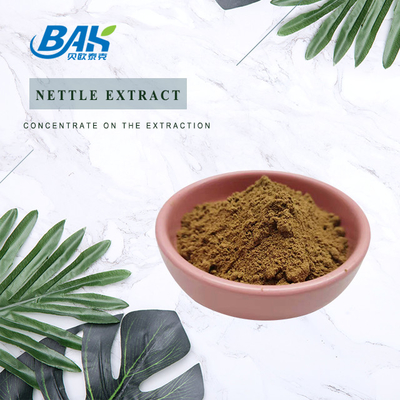 hoogwaardig extract van brandnetelbladeren 1,2% silica Biologisch extract van brandnetelwortel van voedingswaarde Poeder