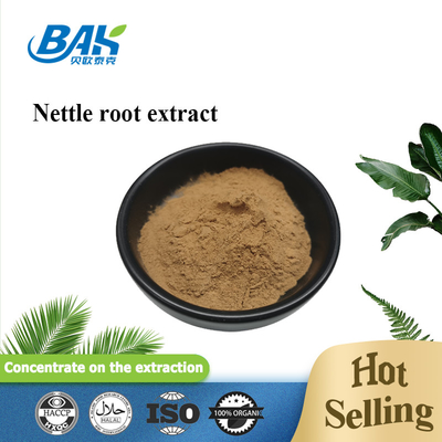 hoogwaardig extract van brandnetelbladeren 1,2% silica Biologisch extract van brandnetelwortel van voedingswaarde Poeder
