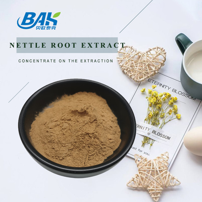 hoogwaardig extract van brandnetelbladeren 1,2% silica Biologisch extract van brandnetelwortel van voedingswaarde Poeder