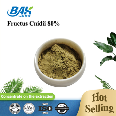 Plant Cnidium Monnieri Extract Osthole 80% poeder