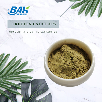 Plant Cnidium Monnieri Extract Osthole 80% poeder