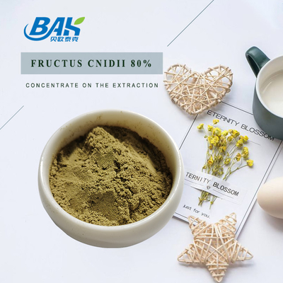Plant Cnidium Monnieri Extract Osthole 80% poeder
