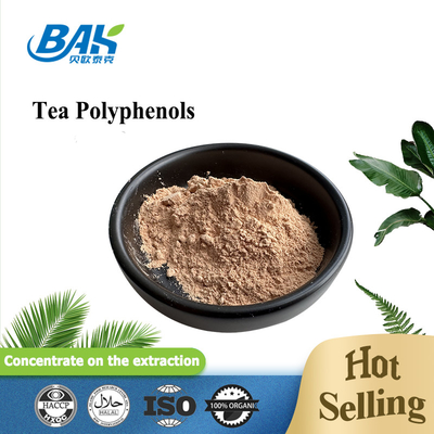 Bulk leverbeschermingssupplement Thee Polyfenolen 98% poeder