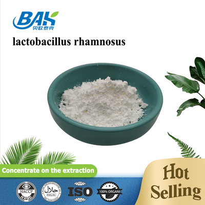 Lactobacillus van de het Poedernatuurvoeding van Rhamnosus de Additieven1kg/foil zak