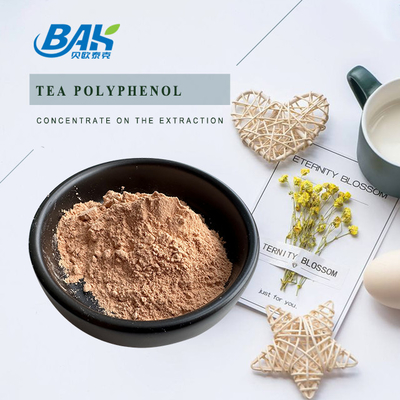 Bulk leverbeschermingssupplement Thee Polyfenolen 98% poeder