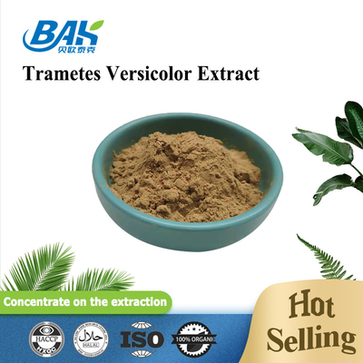 10% - 50% Trametes Versicolor Extract Poeder Champignon Extract Supplement