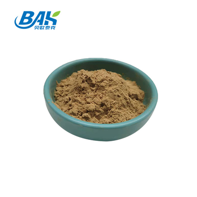 10% - 50% Trametes Versicolor Extract Poeder Champignon Extract Supplement