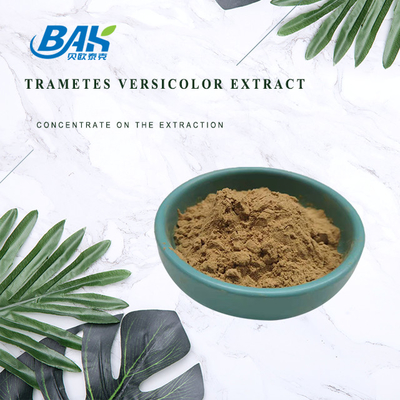 Van het de Paddestoeluittreksel van de voedselrang van het Supplementtrametes Versicolor Uittreksel 10% - 50%
