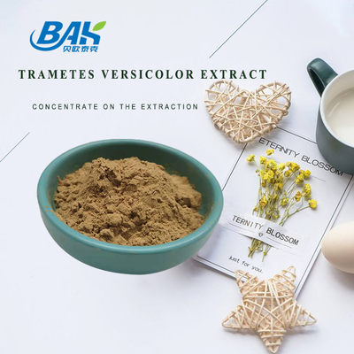 Van het de Paddestoeluittreksel van de voedselrang van het Supplementtrametes Versicolor Uittreksel 10% - 50%