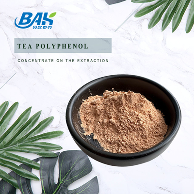 Bulk leverbeschermingssupplement Thee Polyfenolen 98% poeder