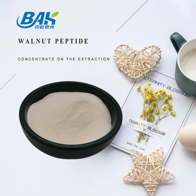 de Okkernootpeptide van 60% 70% Eiwitpoeder voor Geneesmiddelen en Gezondheidsproducten