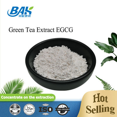 Bulk Stock Groene thee extract EGCG CAS NO 989-51-5 Epigallocatechin gallaat 98% Wit poeder