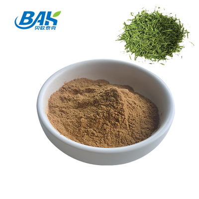 10:1 1 kg groene thee-extract poeder serie wateroplosbare instant thee poeder