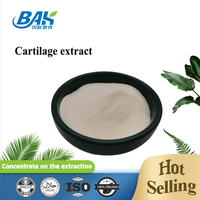 25% Peptide Eiwit Poeder Kraakbeen Extract Type II Collageen