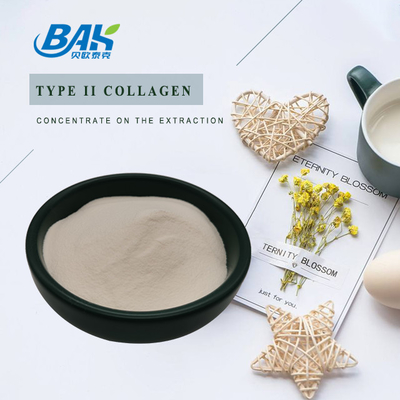 25% Peptide Eiwit Poeder Kraakbeen Extract Type II Collageen
