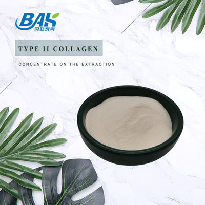 25% Peptide Eiwit Poeder Kraakbeen Extract Type II Collageen