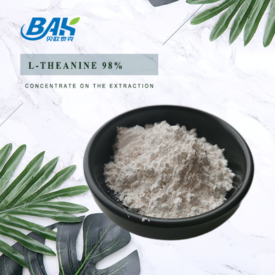 CAS NO 3081-61-6 Natuurlijk kruidenextract voor gezond eten Groene thee extract poeder Theanine 98% poeder