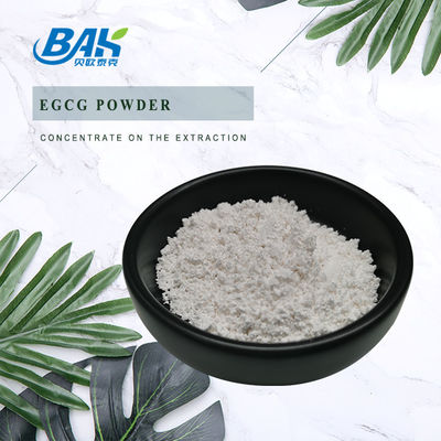 Bulk Stock Groene thee extract EGCG CAS NO 989-51-5 Epigallocatechin gallaat 98% Wit poeder