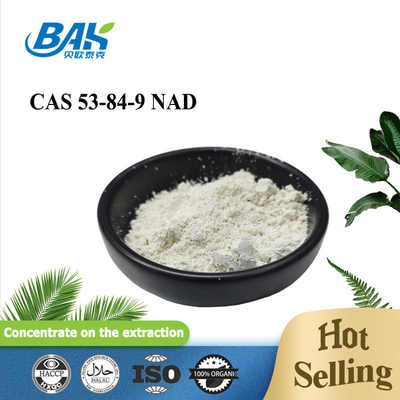 Hete Nicotinamide van Verkoopcas 53-84-9 Verminderde Adenine Dinucleotide NAD