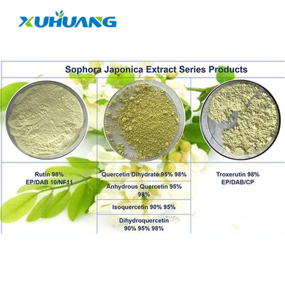 HPLC Sophora Japonica Extract 98% Quercetine poeder